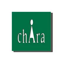 株式会社キャラ所属
